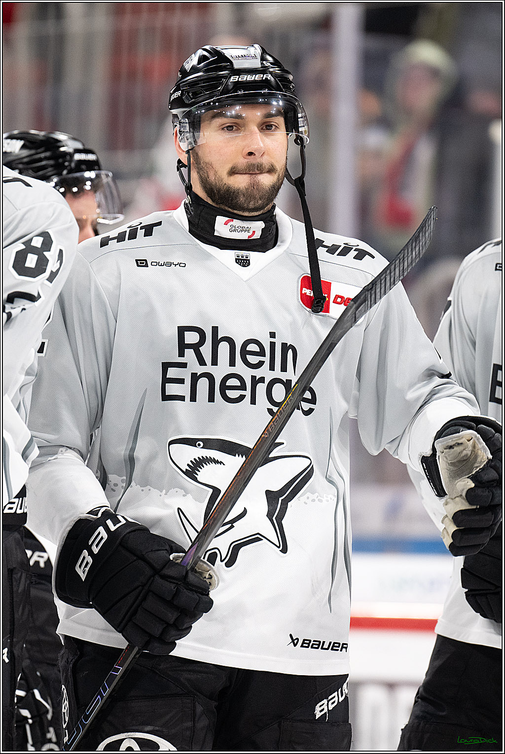 PENNY DEL; Duesseldorfer EG- Koelner Haie; Duesseldorf, 24.01.2025